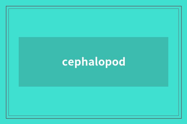 cephalopod