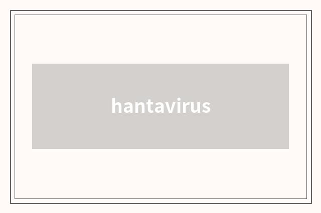 hantavirus