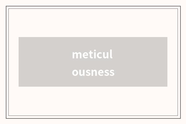 meticulousness