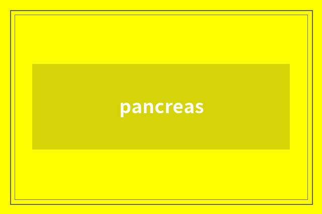 pancreas