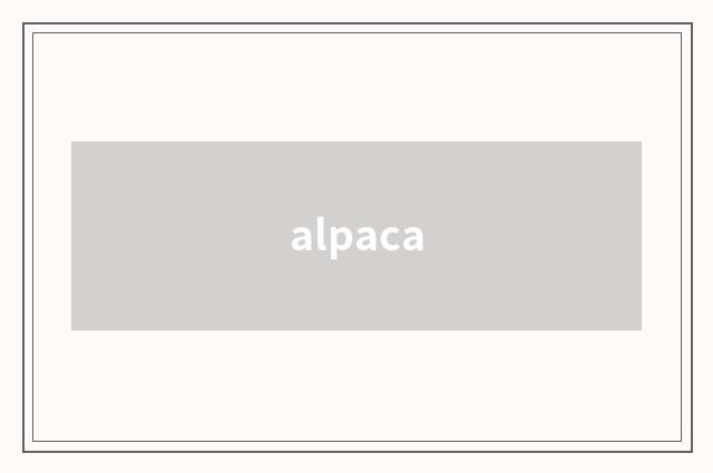 alpaca