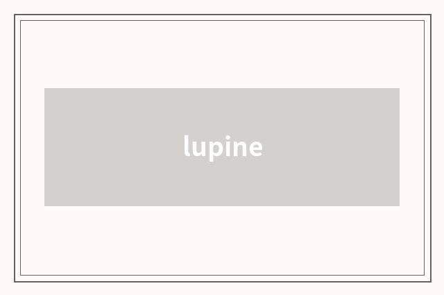 lupine