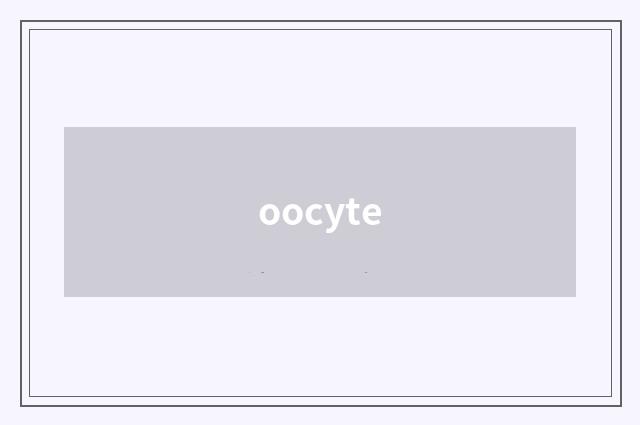 oocyte