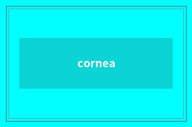 cornea