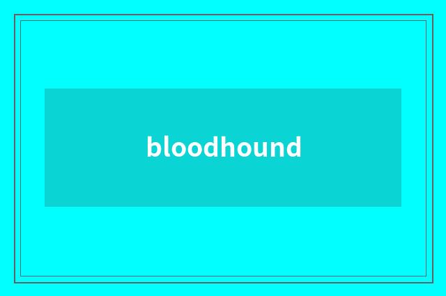 bloodhound