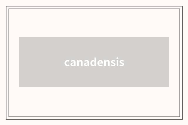 canadensis