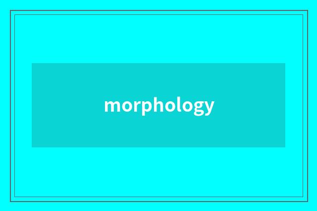 morphology