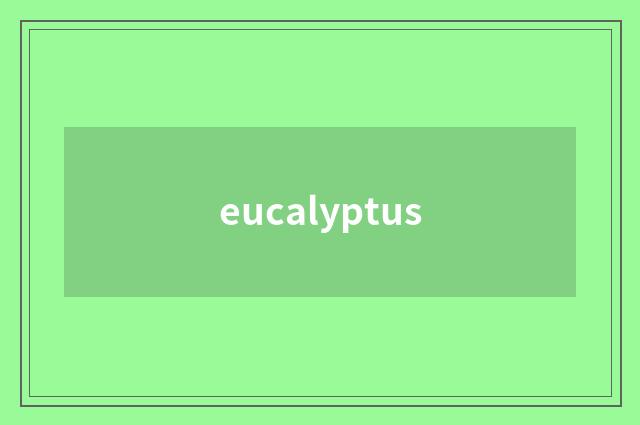 eucalyptus