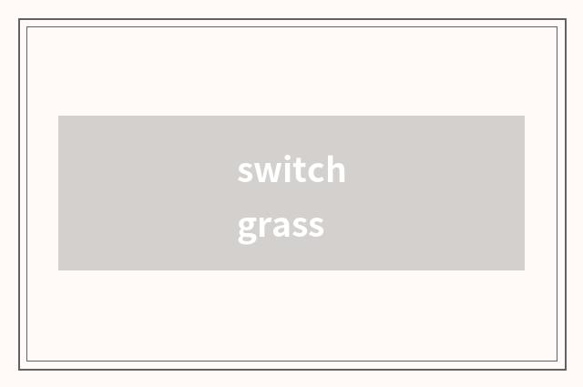 switchgrass