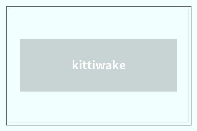 kittiwake