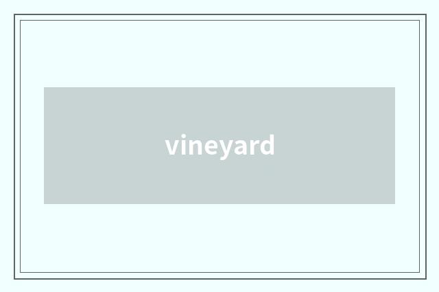 vineyard