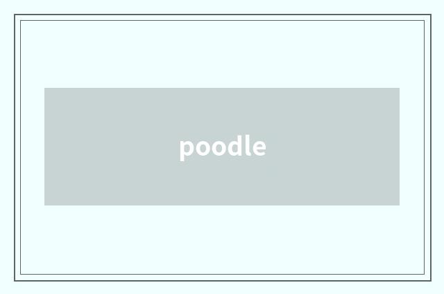 poodle