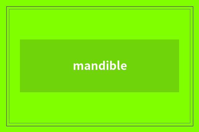 mandible