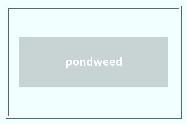 pondweed