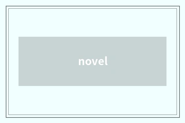 novel