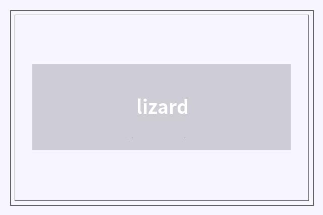 lizard