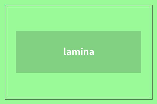 lamina