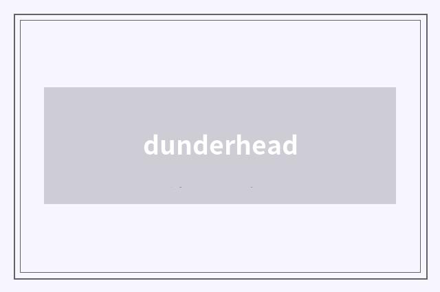 dunderhead