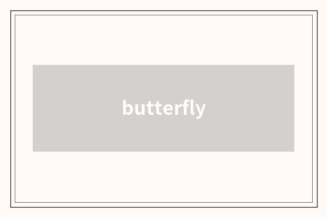 butterfly