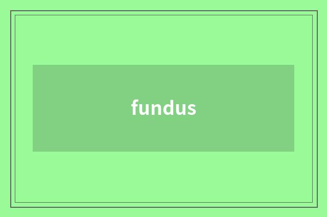 fundus