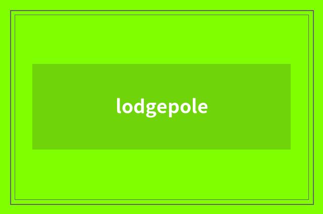 lodgepole