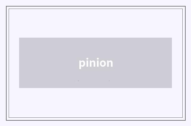 pinion