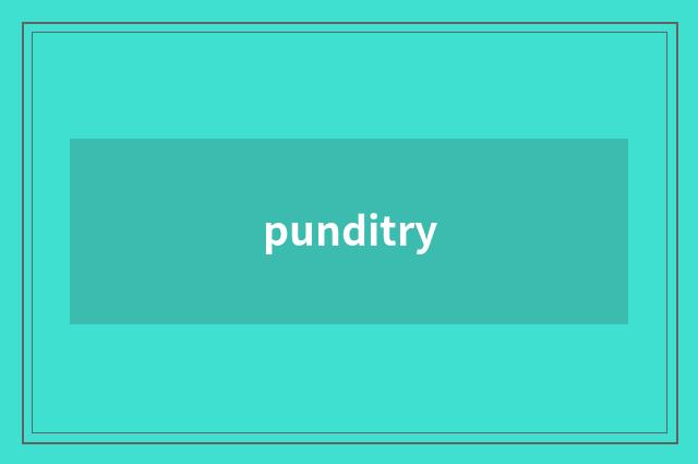 punditry