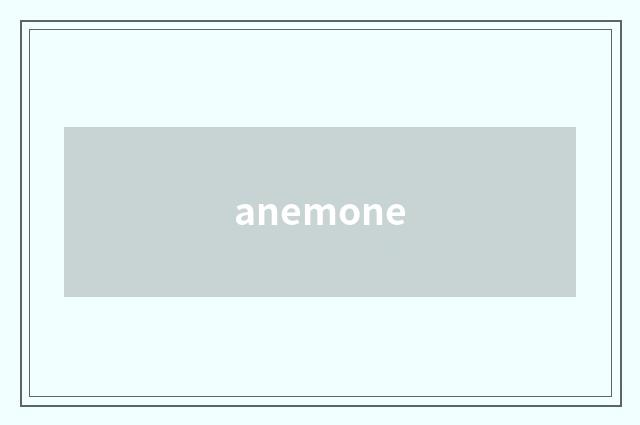 anemone
