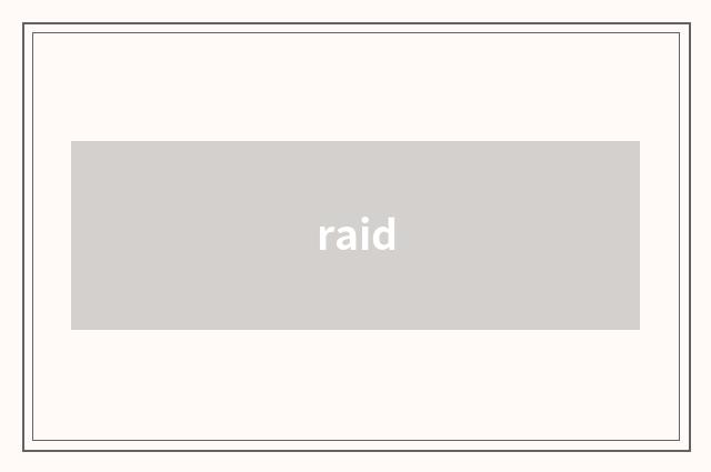 raid