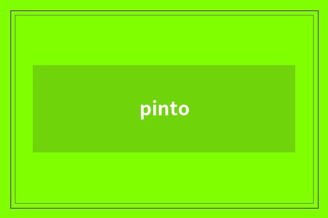 pinto