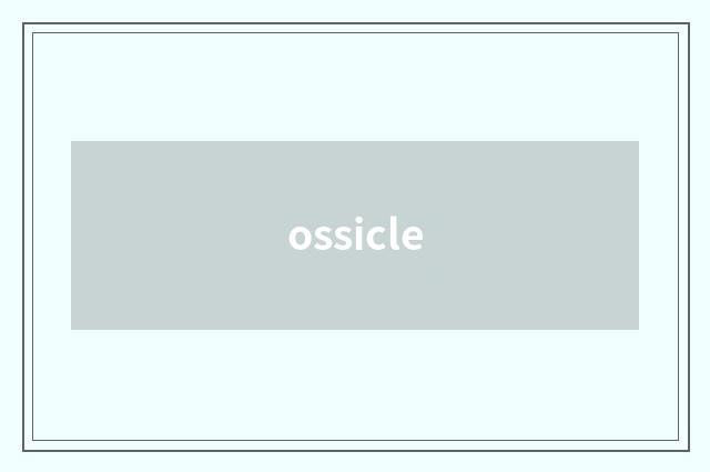 ossicle