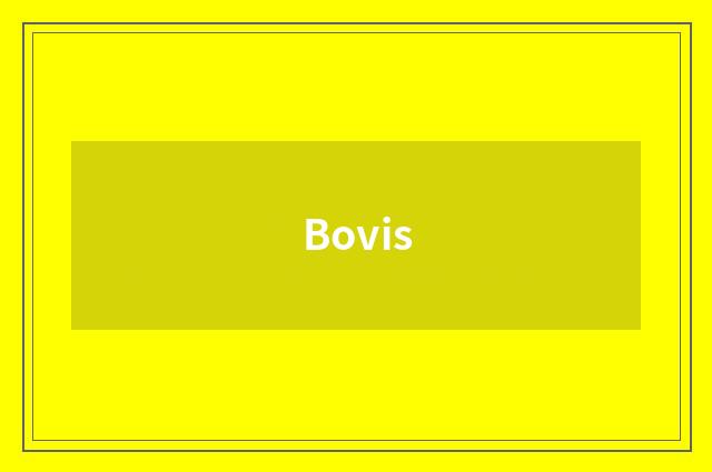 Bovis
