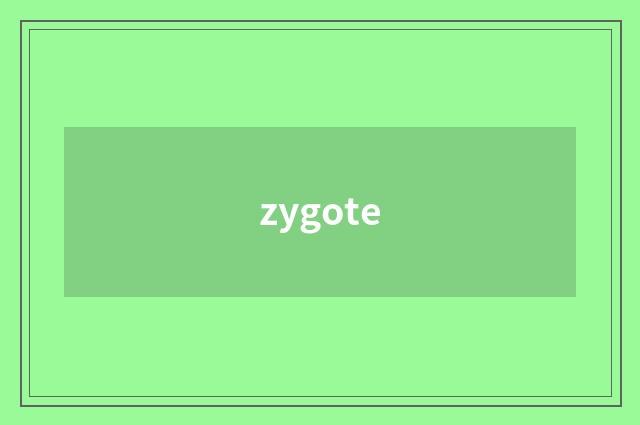 zygote