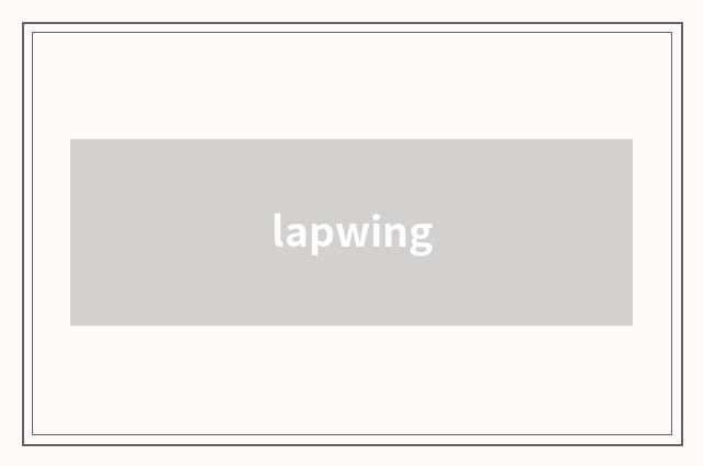 lapwing