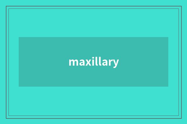 maxillary