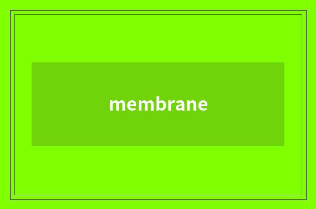 membrane