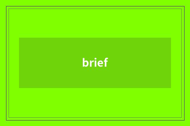 brief