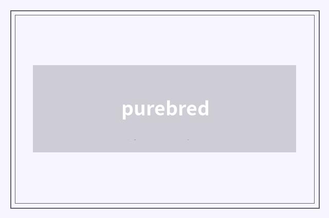 purebred
