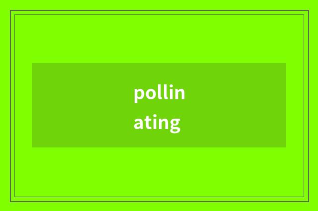 pollinating