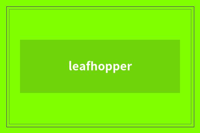 leafhopper