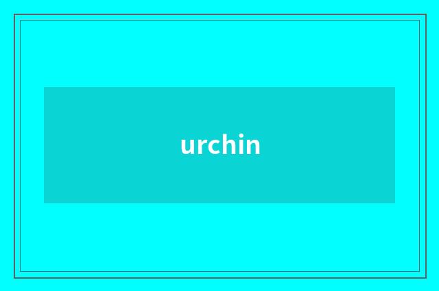 urchin
