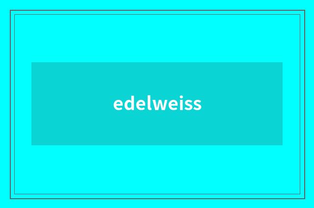edelweiss