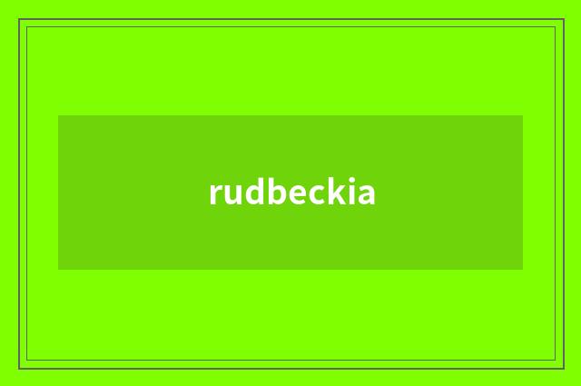 rudbeckia