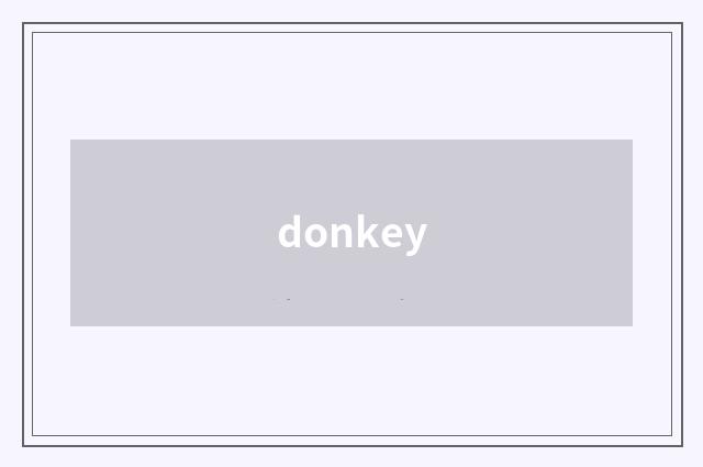 donkey
