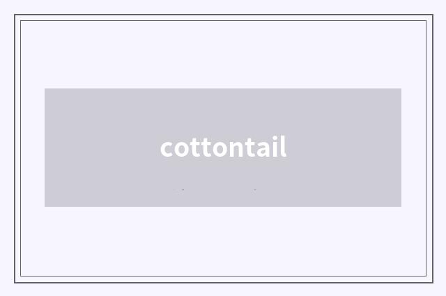 cottontail