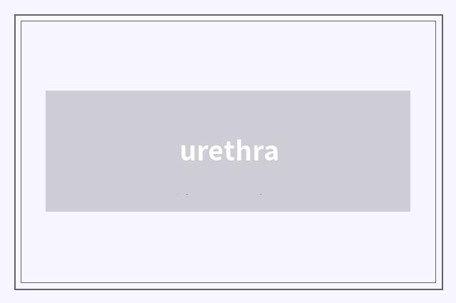 urethra