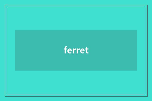 ferret