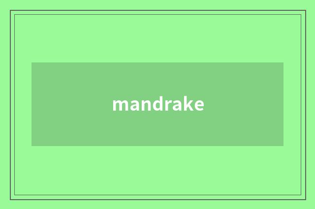 mandrake