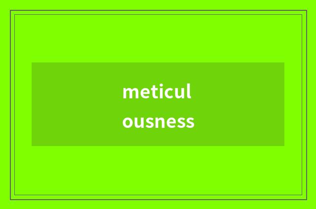 meticulousness