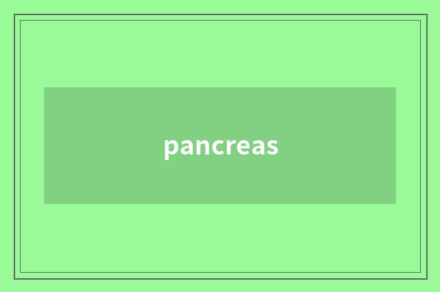 pancreas
